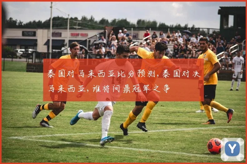 泰国对马来西亚比分预测,泰国对决马来西亚,谁将问鼎冠军之争