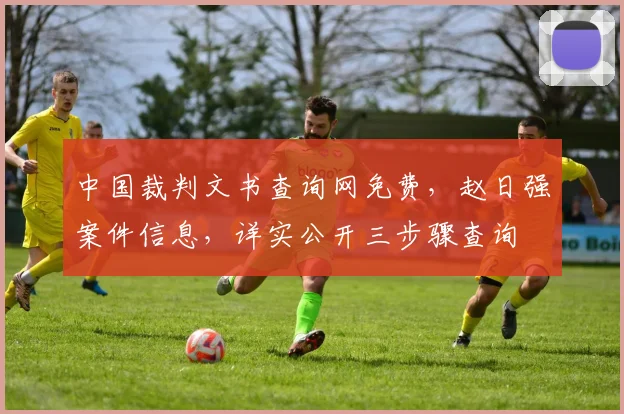 中国裁判文书查询网免费，赵日强案件信息，详实公开三步骤查询