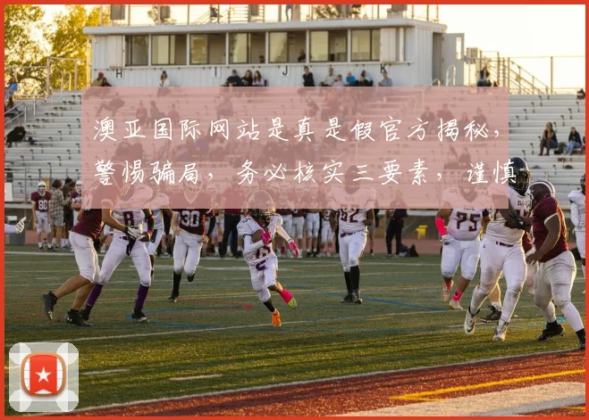 澳亚国际网站是真是假官方揭秘，警惕骗局，务必核实三要素，谨慎点击