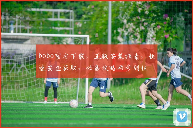 bobo官方下载，正版安装指南，快速安全获取，必备攻略两步到位