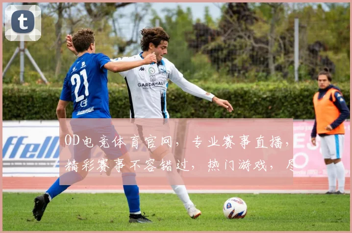 OD电竞体育官网，专业赛事直播，精彩赛事不容错过，热门游戏，尽在掌握，三重福利等你来