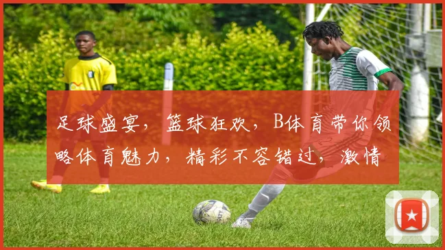 足球盛宴，篮球狂欢，B体育带你领略体育魅力，精彩不容错过，激情四溢，尽在B体育
